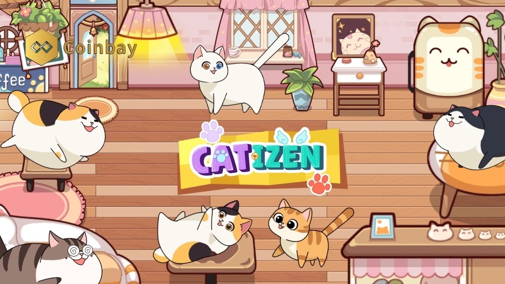 ایردراپ Catizen