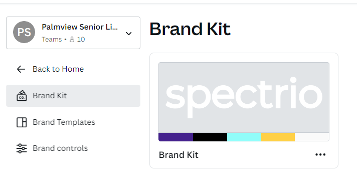 انتخاب Brand Kit